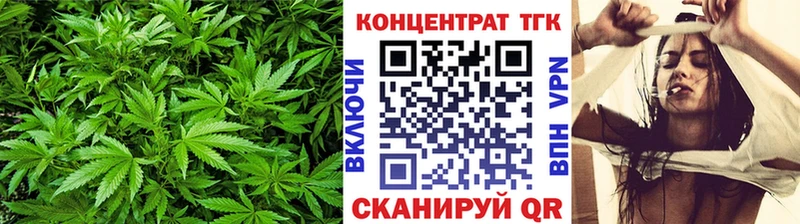 ТГК концентрат  Арамиль 